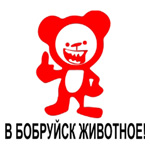 5084