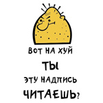 3721