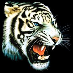 «White Tiger»