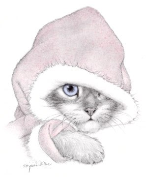 Котенок